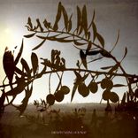 Portada para "i began to forget which silence belongs to you"