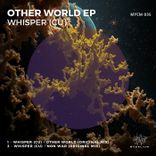 Artwork voor "Other World"