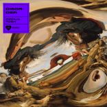 Portada para "Disorder"