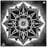 Artwork for "Cosmic Significance"