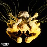 Artwork for "Higher Calling"