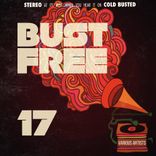 Artwork voor "Bust Free 17"
