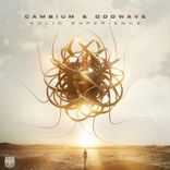 Artwork for "Solid Experience"