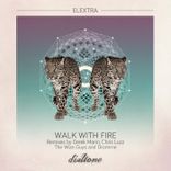 Artwork for "Walk With Fire"
