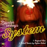 Artwork für "System"