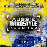 Artwork voor "The Hardstyle Beginz"