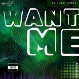 Artwork for "Want Me"