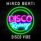 Artwork voor "Disco Vibe"