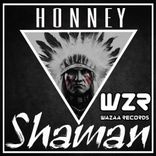 Artwork for "Shaman"