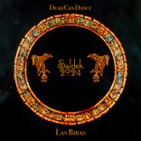 Artwork for "Saldek 2024"