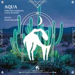 Portada para "Aqua (Ivailo Blagoev Mix)"