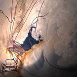 Artwork voor "collected details 01"