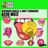 Artwork for "Acid Melt"