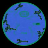 Portada para "Bliss 009"