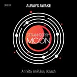 Artwork for "Always Awake"