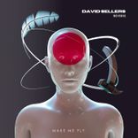 Artwork for "Reverie"