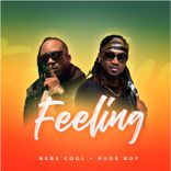 Artwork for "Feeling"
