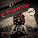 Artwork voor "Are You Ready For The Rave"