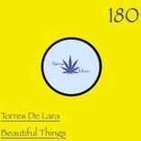 Portada para "Beatifull Things"