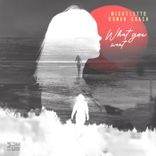 Artwork for "What You Want"