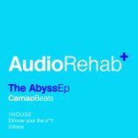 Artwork voor "The Abyss"