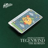 Artwork voor "Tegenwind The Remixes"