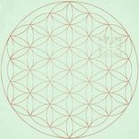 Artwork voor "Naturally Cool"