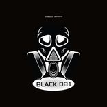 Artwork for "Black 081"