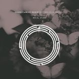 Artwork for "Butterflies In The Belly"