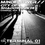 Artwork für "City Of Shadows 2K14"