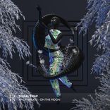 Artwork voor "On The Moon"