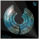 Artwork for "Biorhythm"