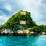 Artwork for "The Vibe Cartel"