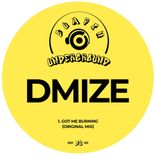 Artwork for "Got Me Burning"