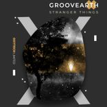 Artwork für "Stranger Things"