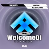 Artwork for "Awakening"