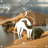 Portada para "In the Valley"