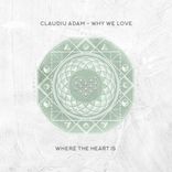 Artwork for "Why We Love"