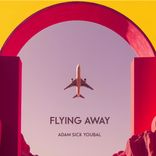 Artwork for "Flying Away"