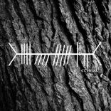 Artwork voor "Within the Whole"