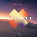 Artwork for "In The Night"