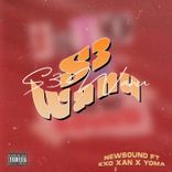 Artwork for "S3 Wanu"