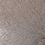 Artwork for "Mouflon Reclining"