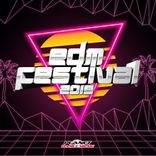 Artwork für "EDM Festival 2019"