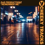 Artwork for "Remember Me"