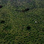 Artwork for "Ghosts & Mirrors EP"