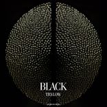 Artwork for "BLACK"