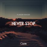 Artwork for "Never Stop"