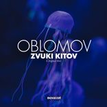 Artwork für "Zvuki Kitov"