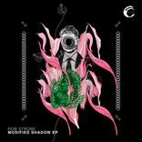 Artwork voor "Modified Shadow"